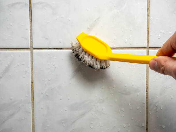 Best Localized Mold Remediation (e.g., coastal areas, humid climates) in Brownsville, LA